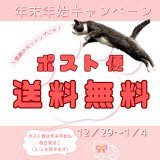 「ポスト便 送料無料キャンペーン」は 1/4(日) いよいよ最終日！