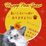 お年玉クーポン｜ラインお友達追加で500円引き
