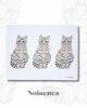 Noisettes