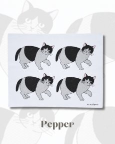 画像4: 【松尾ミユキ】Kitchen cloth｜キッチンクロス　台所ふきん｜選べる４種類♪ Pumpkin / Noisettes / Pepper / Chloe｜猫ネコねこ (4)