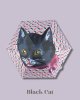 Black cat