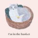 Cat inthe basket