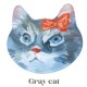 Gray cat