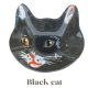 Black cat