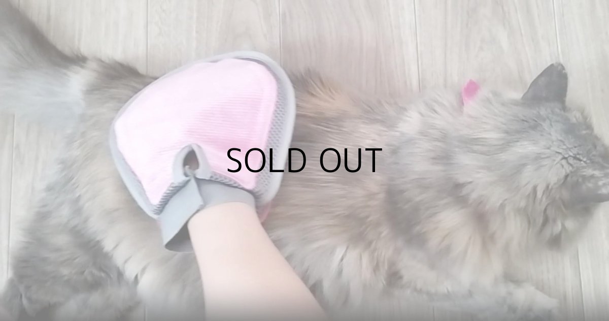 画像13: 森のトンネル　ビューティーワールド｜猫舌とろん　猫様満足２種セット｜猫舌感触グルーミングブラシ＆2WAYグローブ (13)