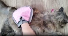 画像13: 猫舌とろん　大満足２種セット｜猫ちゃんうっとり　猫舌感触グルーミングブラシ＆2WAYグローブ｜森のトンネル　ビューティーワールド (13)