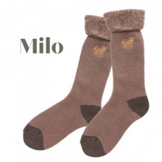画像3: 【松尾ミユキ】ルームソックス Cat　４足セット｜Milo,Stella,Elliot,Chad｜猫 ねこ ネコ (3)