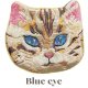 Blue eye