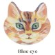 Blue eye