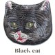 Black cat