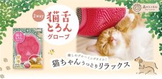 画像11: 猫舌とろん　大満足２種セット｜猫ちゃんうっとり　猫舌感触グルーミングブラシ＆2WAYグローブ｜森のトンネル　ビューティーワールド (11)