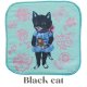 Black cat