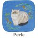 Perle
