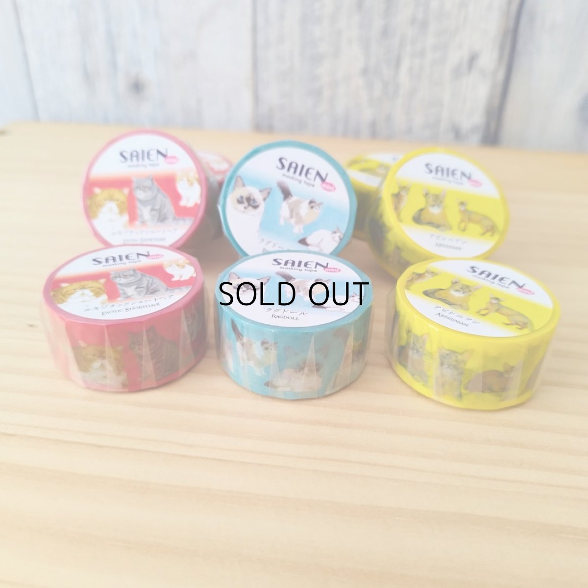 画像8: 【SAIEN】 ３点セット　KIMIKO IGUCHI 猫だらけマスキングテープ｜赤・ブルー・イエロー×各１色｜エキゾチックショートヘア・ラグドール・アビシニアン｜猫 ネコ ねこ (8)