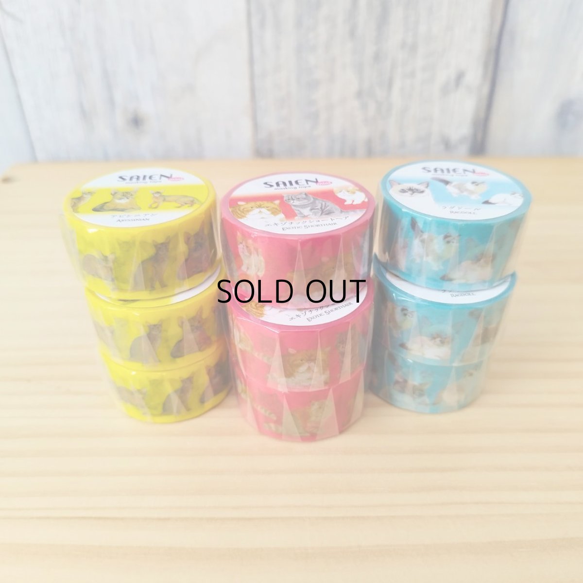 画像9: 【SAIEN】 ３点セット　KIMIKO IGUCHI 猫だらけマスキングテープ｜赤・ブルー・イエロー×各１色｜エキゾチックショートヘア・ラグドール・アビシニアン｜猫 ネコ ねこ (9)