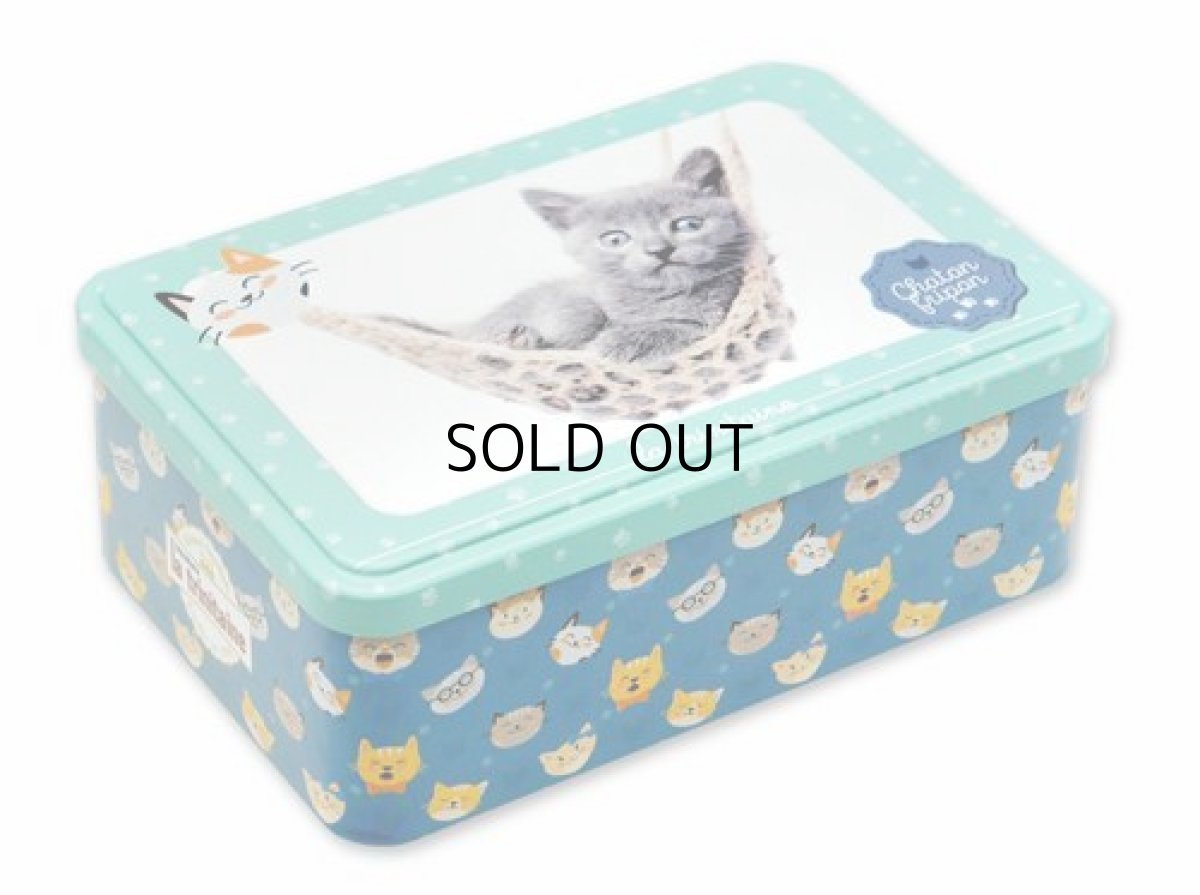 画像7: 【ラ・トリニテーヌ】フランス産　焼き菓子｜La-trinitaine　キャッツ・グリーン缶 (ガレット/パレット詰合せ／350g) 新タイプ｜猫 ネコ ねこ (7)