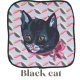 Black cat
