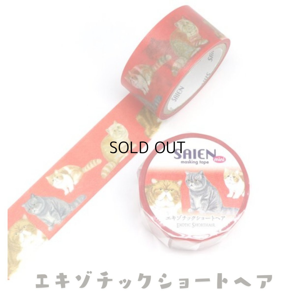 画像6: 【SAIEN】 ３点セット　KIMIKO IGUCHI 猫だらけマスキングテープ｜赤・ブルー・イエロー×各１色｜エキゾチックショートヘア・ラグドール・アビシニアン｜猫 ネコ ねこ (6)
