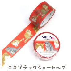 画像6: 【SAIEN】 ３点セット　KIMIKO IGUCHI 猫だらけマスキングテープ｜赤・ブルー・イエロー×各１色｜エキゾチックショートヘア・ラグドール・アビシニアン｜猫 ネコ ねこ (6)