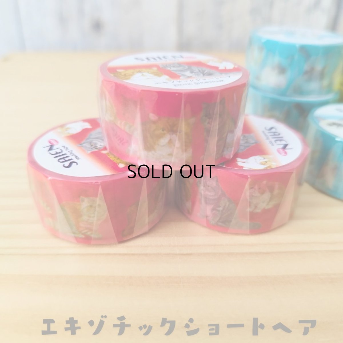 画像3: 【SAIEN】 ３点セット　KIMIKO IGUCHI 猫だらけマスキングテープ｜赤・ブルー・イエロー×各１色｜エキゾチックショートヘア・ラグドール・アビシニアン｜猫 ネコ ねこ (3)