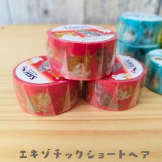 画像3: 【SAIEN】 ３点セット　KIMIKO IGUCHI 猫だらけマスキングテープ｜赤・ブルー・イエロー×各１色｜エキゾチックショートヘア・ラグドール・アビシニアン｜猫 ネコ ねこ (3)