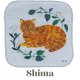 Shima