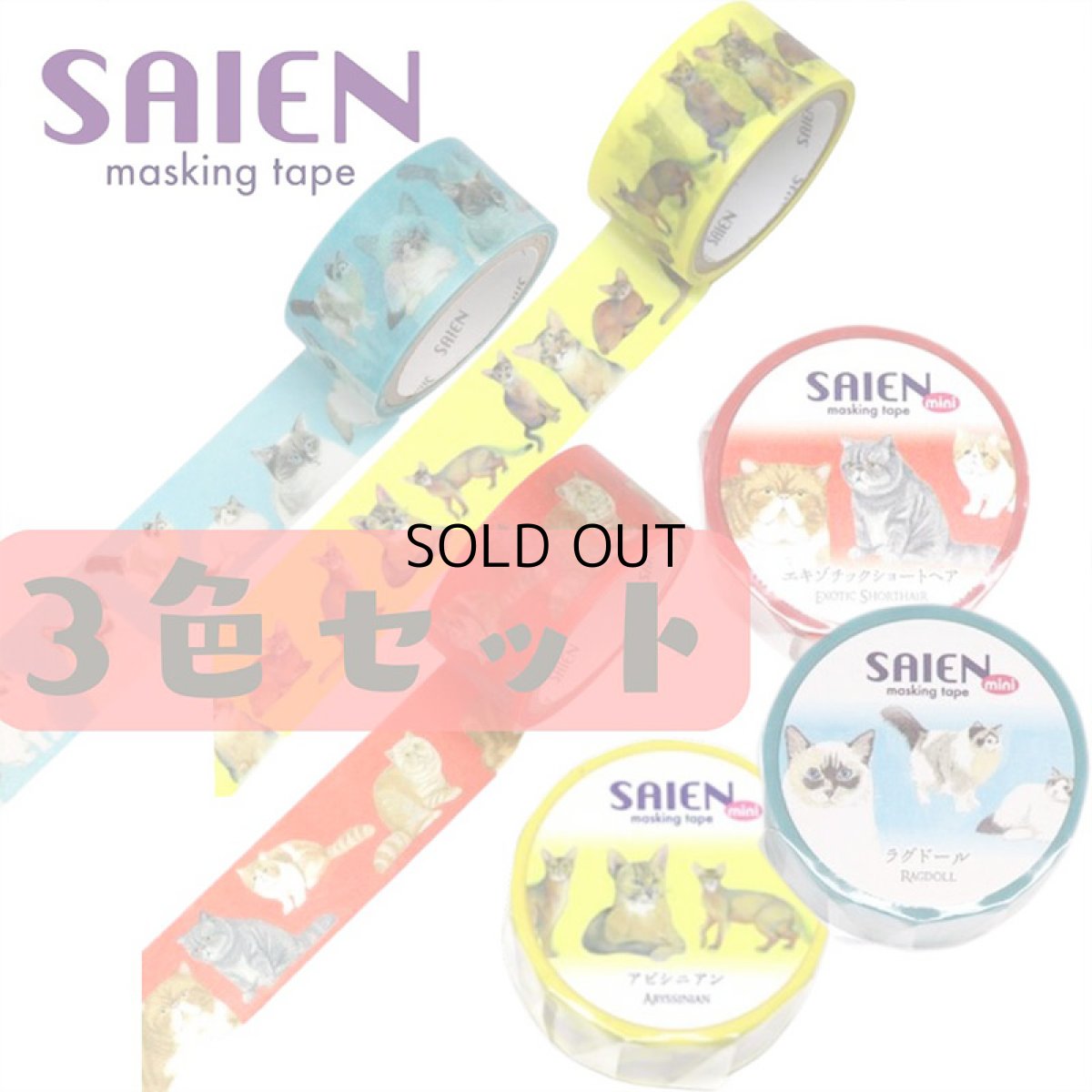 画像1: 【SAIEN】 ３点セット　KIMIKO IGUCHI 猫だらけマスキングテープ｜赤・ブルー・イエロー×各１色｜エキゾチックショートヘア・ラグドール・アビシニアン｜猫 ネコ ねこ (1)