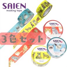画像1: 【SAIEN】 ３点セット　KIMIKO IGUCHI 猫だらけマスキングテープ｜赤・ブルー・イエロー×各１色｜エキゾチックショートヘア・ラグドール・アビシニアン｜猫 ネコ ねこ (1)