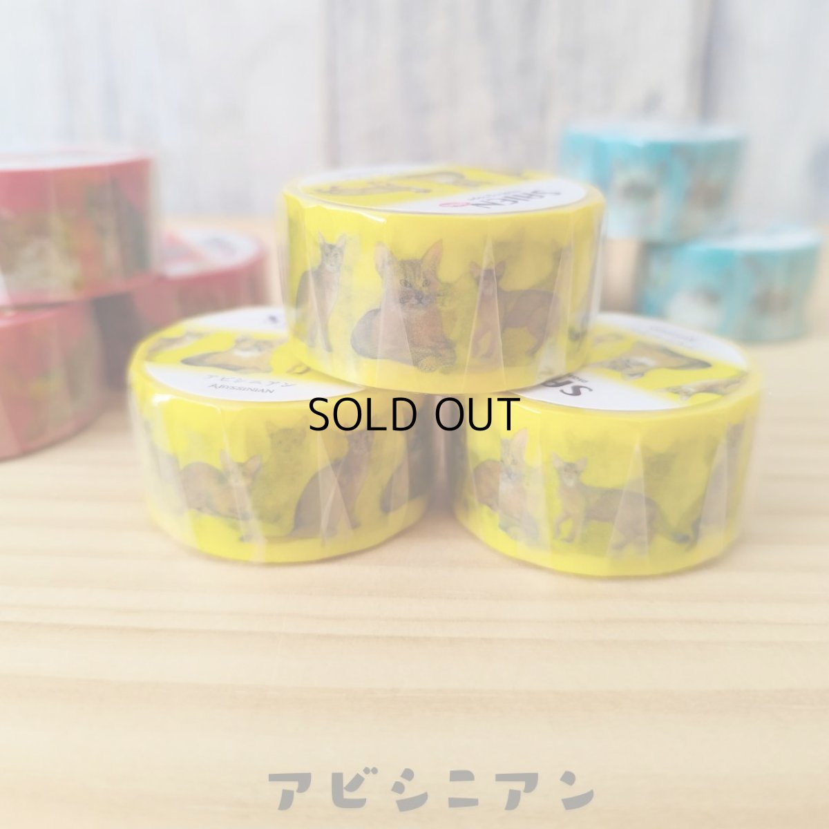 画像4: 【SAIEN】 ３点セット　KIMIKO IGUCHI 猫だらけマスキングテープ｜赤・ブルー・イエロー×各１色｜エキゾチックショートヘア・ラグドール・アビシニアン｜猫 ネコ ねこ (4)