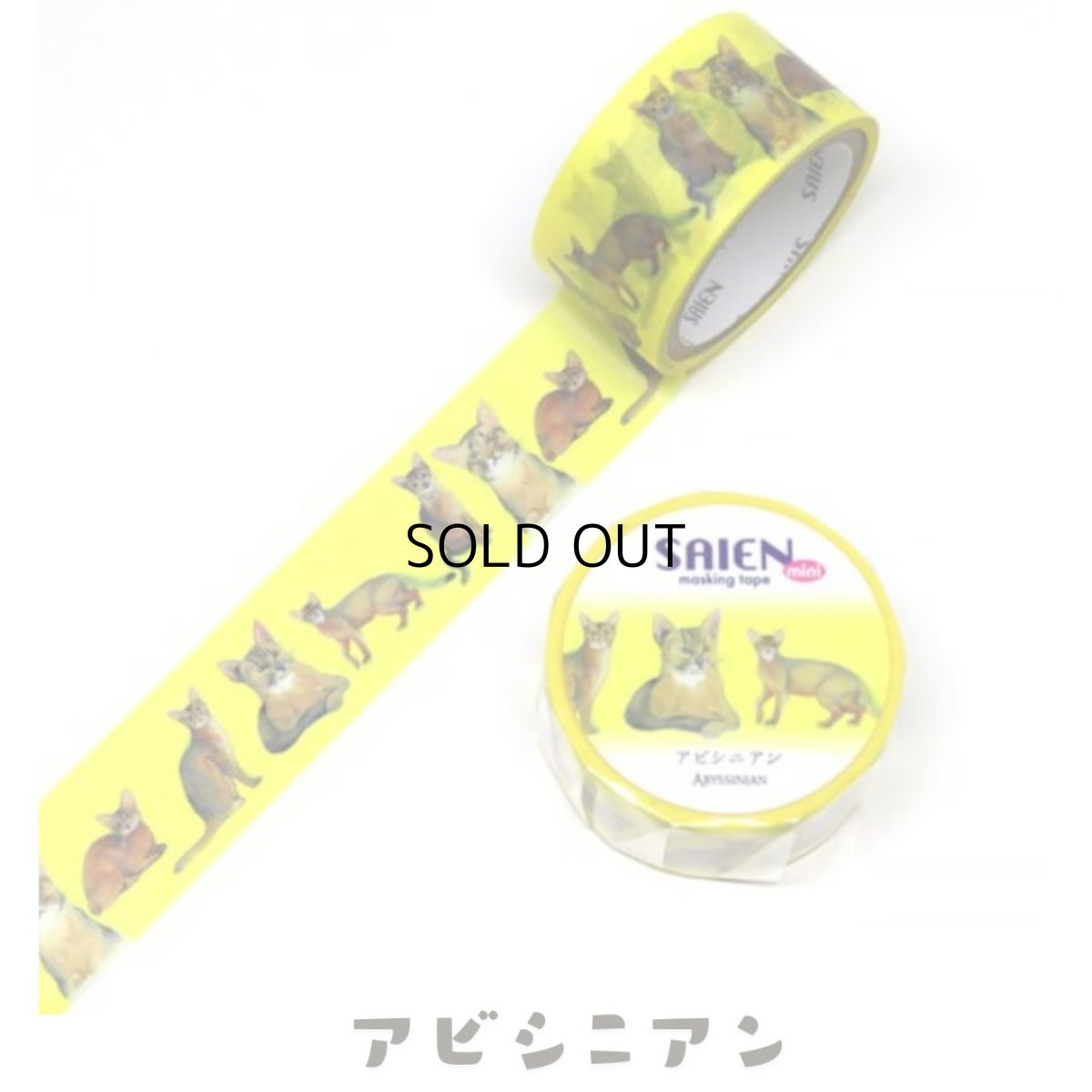 画像7: 【SAIEN】 ３点セット　KIMIKO IGUCHI 猫だらけマスキングテープ｜赤・ブルー・イエロー×各１色｜エキゾチックショートヘア・ラグドール・アビシニアン｜猫 ネコ ねこ (7)