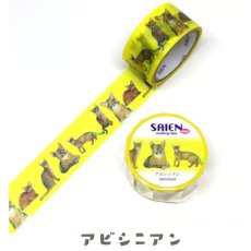 画像7: 【SAIEN】 ３点セット　KIMIKO IGUCHI 猫だらけマスキングテープ｜赤・ブルー・イエロー×各１色｜エキゾチックショートヘア・ラグドール・アビシニアン｜猫 ネコ ねこ (7)