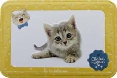 画像5: 【ラ・トリニテーヌ】フランス産　焼き菓子｜La-trinitaine　キャッツ・イエロー缶　ミニヨン (ガレット/パレット詰合せ／350g) 新タイプ｜猫 ネコ ねこ (5)