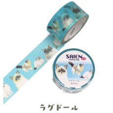画像5: 【SAIEN】 ３点セット　KIMIKO IGUCHI 猫だらけマスキングテープ｜赤・ブルー・イエロー×各１色｜エキゾチックショートヘア・ラグドール・アビシニアン｜猫 ネコ ねこ (5)
