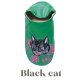 Black cat