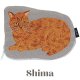 Shima