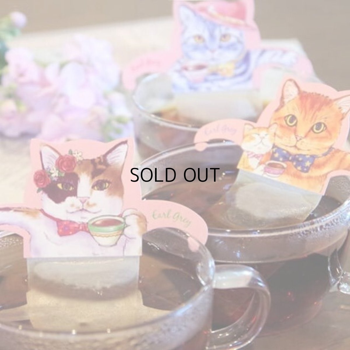 画像2: 【フックティー】＼キャットカフェ３種類ぜんぶセット／　キャットカフェ（アールグレイティー） ・ジャパンキャットカフェ（煎茶） ・ブラックキャットカフェ（メープルティー）｜猫 ネコ ねこ｜紅茶 緑茶 日本茶 (2)