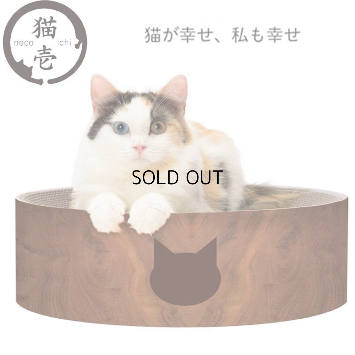 画像1: 【猫壱】バリバリボウル｜ダークブラウン｜爪とぎ　お昼寝｜猫 ネコ ねこ (1)