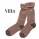 Milo（ブラウン）