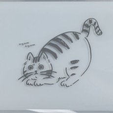 画像5: 【Chaco Chaco／チャコチャコ】お弁当箱 【日本製】｜ランチBOX　ランチボックス｜選べるカラー４種類　ピンク／ブルー／ベージュ／ホワイト｜猫　ネコ　cat (5)