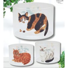 画像2: 【松尾ミユキ】Heat resistant Low glass｜耐熱ガラスコップ｜選べる3種類♪　Fuu/Shima/Perle｜猫ねこネコ (2)