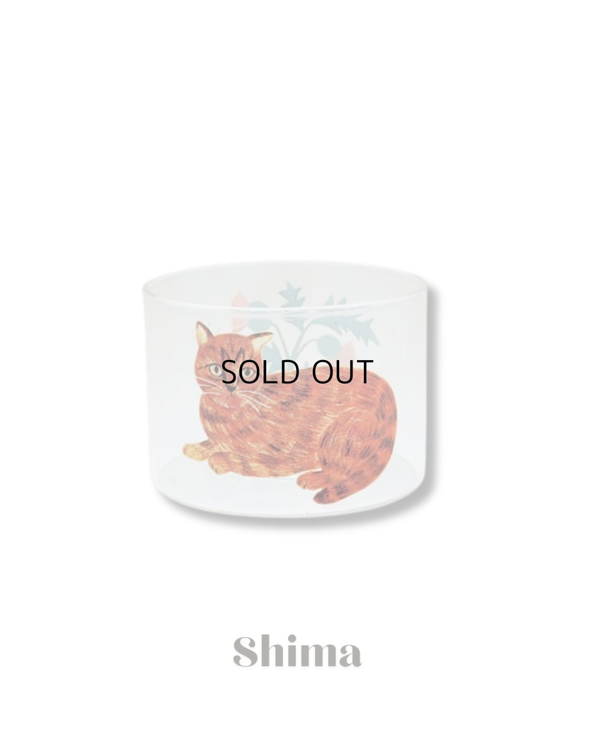 画像4: 【松尾ミユキ】【３点セット】Heat resistant Low glass｜耐熱ガラスコップ｜Fuu/Shima/Perle｜猫ねこネコ (4)