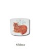 Shima