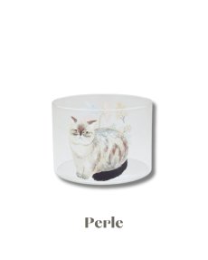 画像7: 【松尾ミユキ】Heat resistant Low glass｜耐熱ガラスコップ｜選べる3種類♪　Fuu/Shima/Perle｜猫ねこネコ (7)