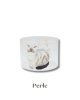 Perle