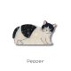 Pepper