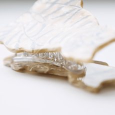 画像10: 【松尾ミユキ / Matsuo Miyuki】Cat Hair Clip Pumpkin｜キャットヘアクリップ バンスクリップ ｜4種類から選べる  Pumpkin / Noisettes / Pepper / Chloe｜ねこ猫ネコ (10)