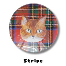 画像5: 【松尾ミユキ / Matsuo Miyuki】＼４枚セット／ Glass plate 12cm｜4枚セット ガラスプレート【 12cm  】チェック 丸皿（小12cm）｜Ruru / Stripe / Hacu / Tabby｜ねこ猫ネコcat (5)