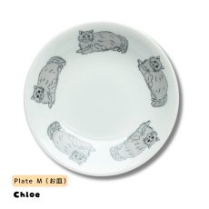 画像10: 【松尾ミユキ / Matsuo Miyuki】＼２点セット／お皿（M）とお茶碗セット｜Plate（M） & Bowl｜4種類から選べる  Pumpkin / Noisettes / Pepper / Chloe｜猫5匹とお花の白丸皿（M） ＆ねことお花のお茶碗｜ネコcat (10)