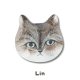 Lin