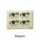 Pepper